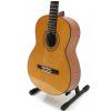 BatonRouge Romero 25 classical guitar