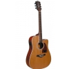 Richwood RD17 CE electric acoustic guitar