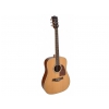 Richwood RD 17C acoustic guitar