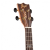 Canto DUC450 concert ukulele with cover