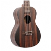 Canto DUC460 concert ukulele with cover