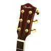 Burton W-C/N Passage acoustic electric guitar cut.