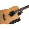 Dowina Cabernet DCE electric acoustic guitar