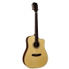 Dowina Cocobolo 3C DCE electric acoustic guitar
