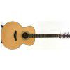 Baton Rouge R35/12 acoustic guitar (12-str)