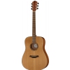 Baton Rouge AR11C/D acoustic guitar