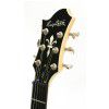 Hagstrom F301 3SB electric guitar