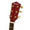 T.Burton J-34/TRD acoustic guitar Jumbo cutaway