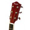 Burton W-0/TRD acoustic guitar