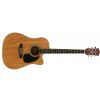 Richwood RD12CE acoustic guitar with EQ W./Dread.