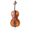 CARLO GIORDANO SC 100 ? cello