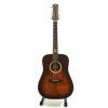 Baton Rouge Burnt 12 acoustic guitar 12-str.