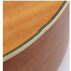Tacoma EM19 acoustic guitar
