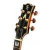 Baton Rouge FatMat V electric guitar