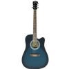 Washburn WA90 C BLB acoustic guitar