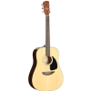 Samick SGW S-200D NAT acoustic guitar
