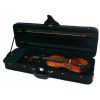 Hoefner H5D 4/4-0 violin 4/4 (set)
