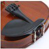 Hoefner AS-260V 4/4 violin (set)