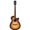 Ibanez AEG 10 II NNB electric acoustic guitar