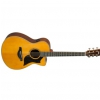Yamaha AC 5 R ARE VN electric acoustic guitar
