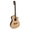 Richwood RG16CE NT electric acoustic guitar