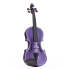Stentor 1401DPF Harlequin 1/4 violin, purple