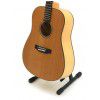 BatonRouge L6  NT acoustic guitar