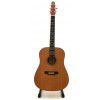 BatonRouge L6  NT acoustic guitar