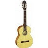 Ortega R121 classical guitar