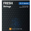 Fresh FS-17 electric guitar strings 9-42