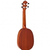 Ortega Rupa5 concert ukulele