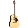 Samick SGW S-550D NAT electric acoustic guitar