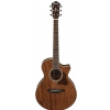 Ibanez AE245JR-OPN electric acoustic guitar w/bag