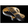 Duesenberg Starplayer TV 25th Anniversary Gold Leaf electric guitar