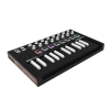 Arturia MiniLab MKII Inverted MIDI Controller Black 