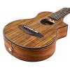 Ibanez EWP14 WB OPN acoustic guitar