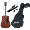 Ibanez V54NJP-OPN acoustic guitar pack