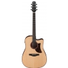Ibanez AAD300CE-LGS electric acoustic guitar