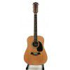 T.Burton Passage W N 12 string acoustic guitar