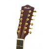 T.Burton Passage W N 12 string acoustic guitar