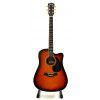 T.Burton Passage W CE BS acoustic-electric guitar