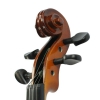 Hora V100 Student Rhapsody 1/2 violin with case
