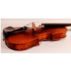 Stentor 1875 / A Elysia 4/4 violin