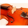 GEWA 401621 Violin Outfit Europa 4/4 (bow + case)