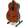 Baton Rouge DF55 classical guitar 4/4