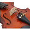 Strunal 14W violin 4/4