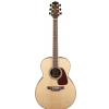 Takamine GN93-NAT acoustic guitar