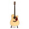 Burton W-C/N Passage acoustic electric guitar cut.