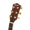 Burton W-C/N Passage acoustic electric guitar cut.