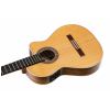 Ortega BWSM/2 nylon 6-str. guitar ortega Ben Woods signature model cutaway/fishman/thinline/gig bag